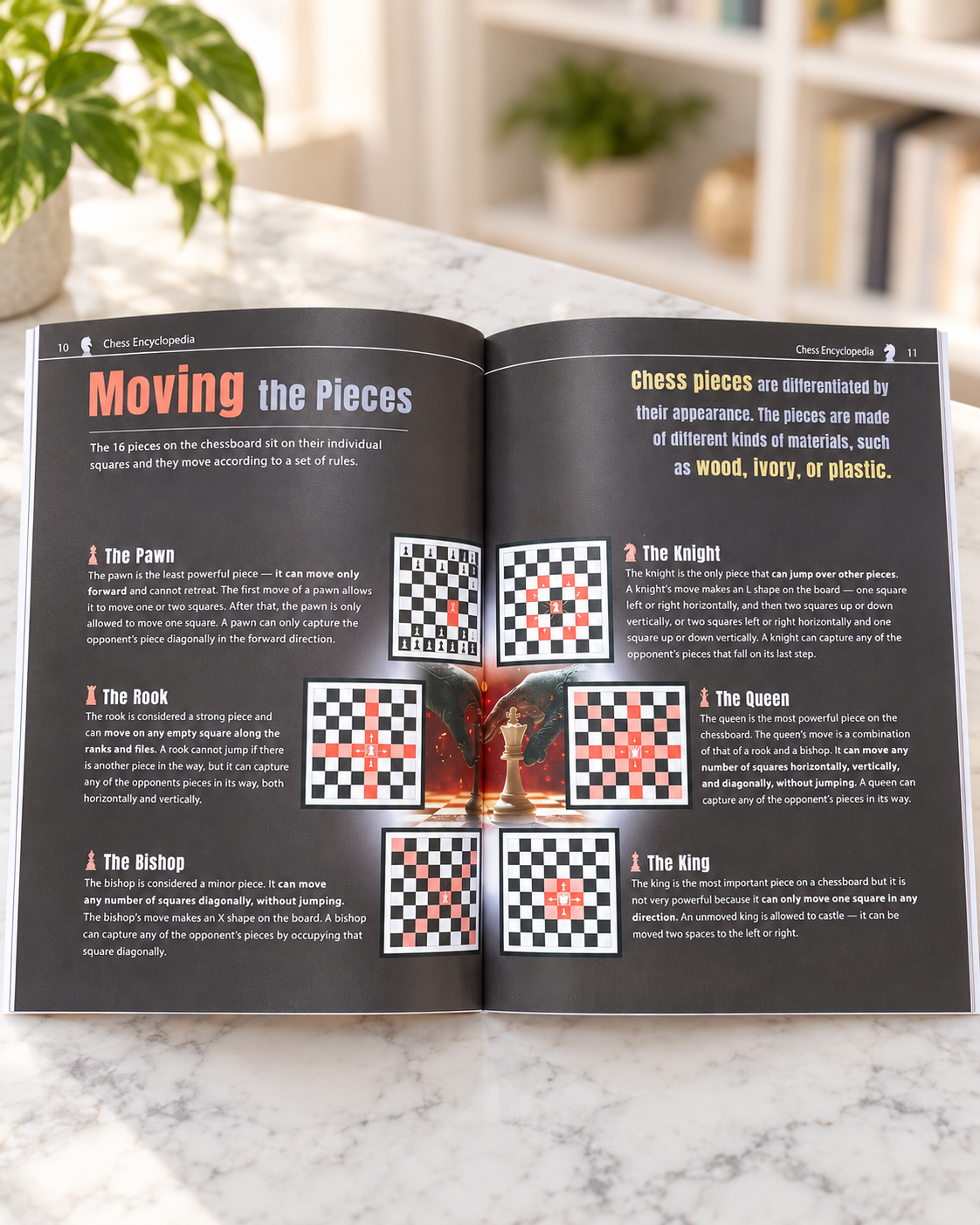 My Very First Chess Encyclopedia, inside spread on how the chess pieces move