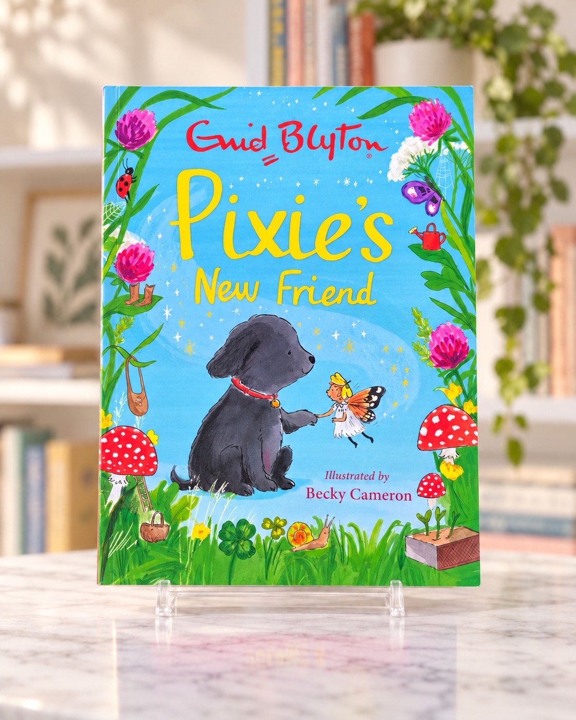 Pixie's New Friend, front cover