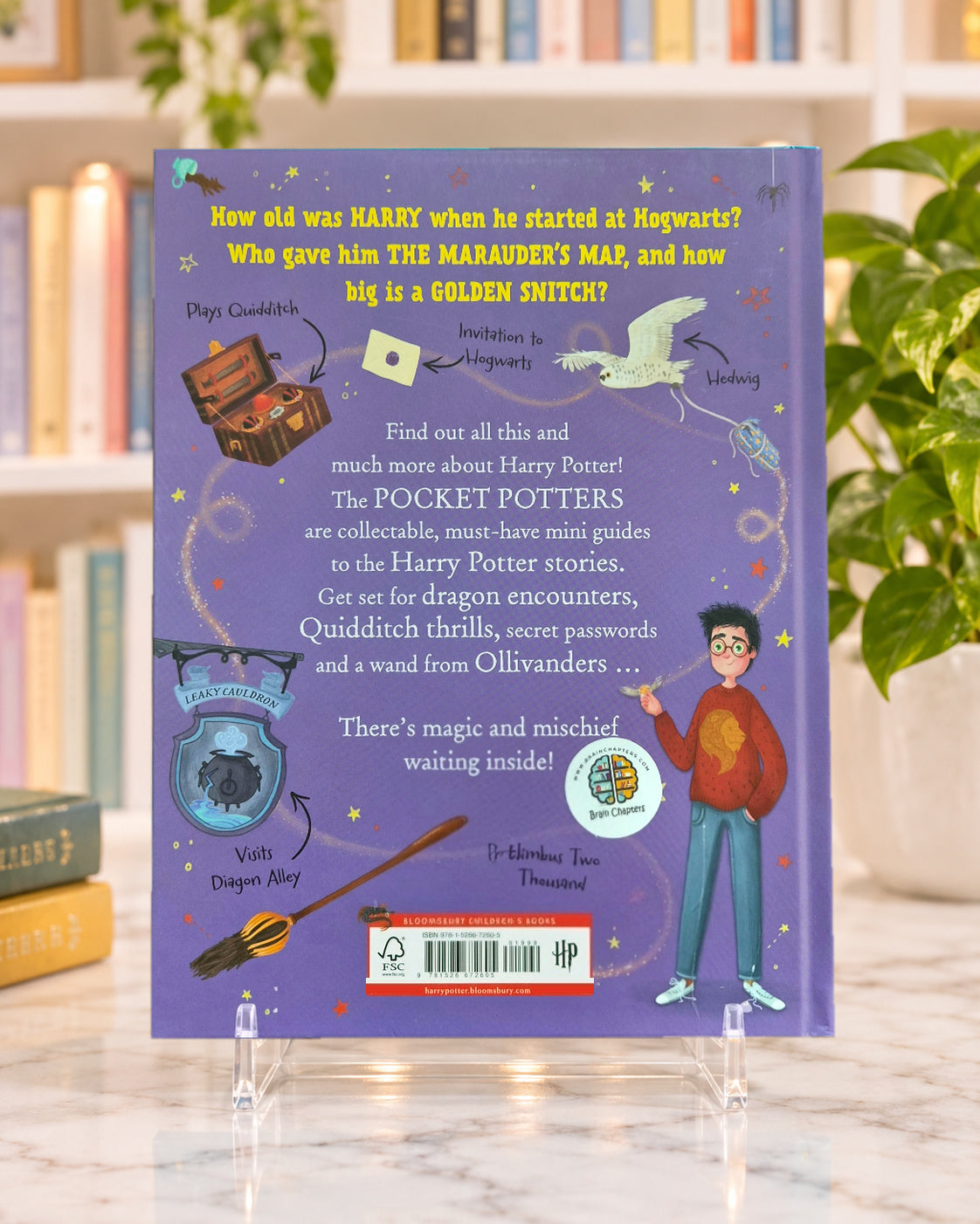 Pocket Potters: Harry Potter hardback, back cover