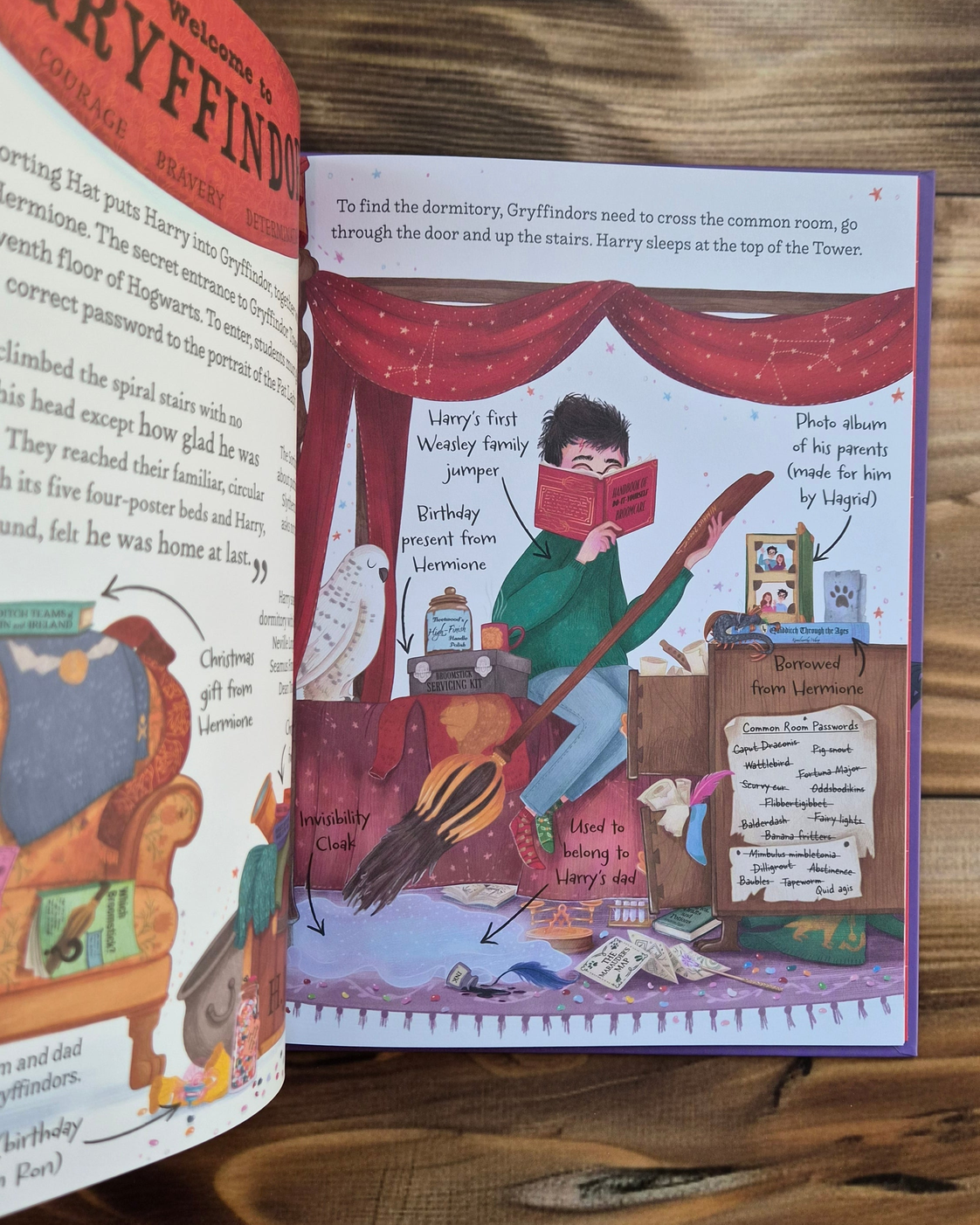 Pocket Potters: Harry Potter, inside pages: Gryffindor