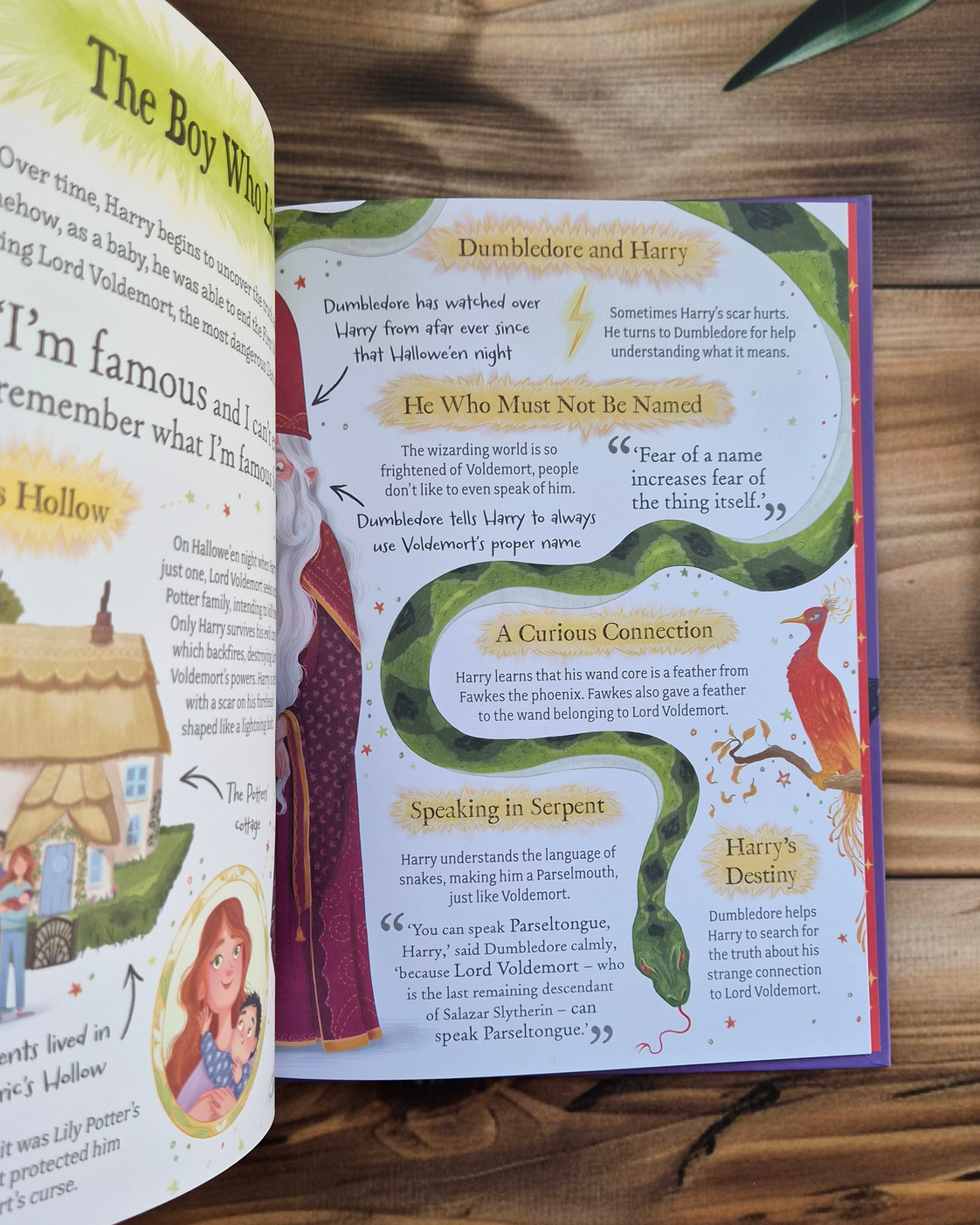 Pocket Potters: Harry Potter, inside pages: Dumbledore and Harry