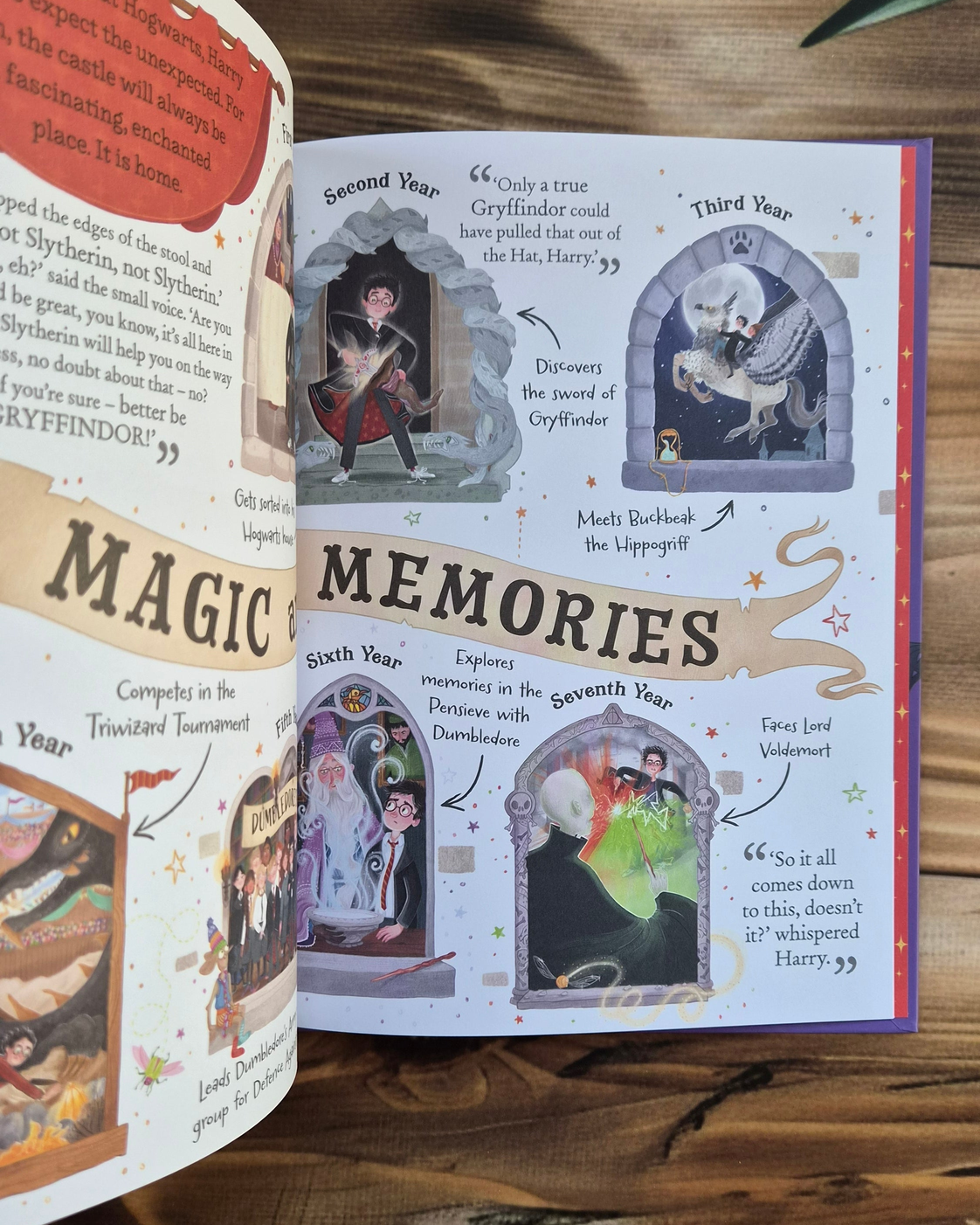 Pocket Potters: Harry Potter, inside pages: Magic and Memories