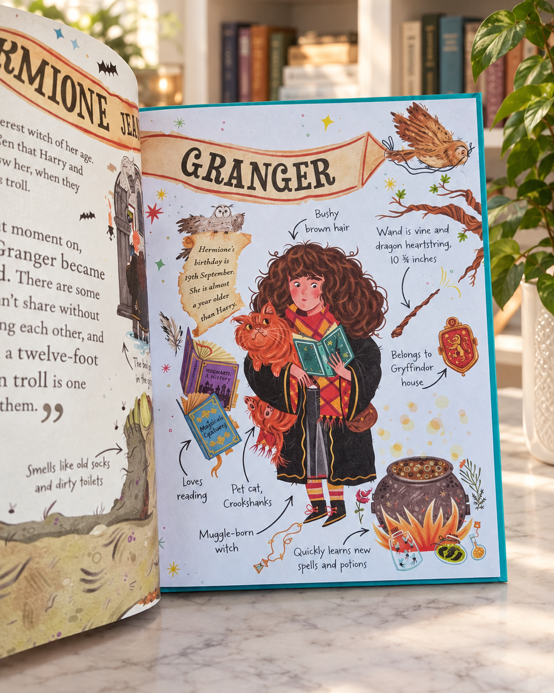 Pocket Potters: Hermione Granger, inside pages: Granger