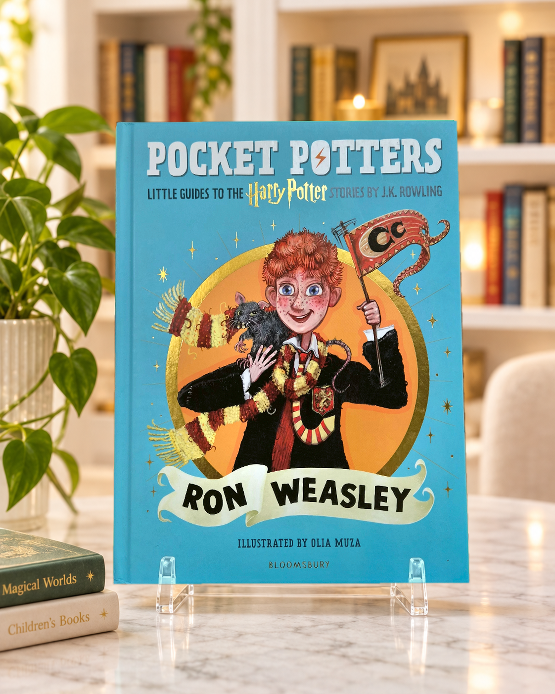 Pocket Potters: Ron Weasley hardback, front cover