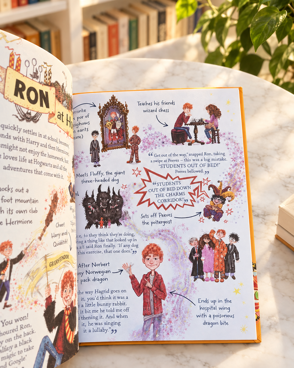 Pocket Potters: Ron Weasley, inside pages: Ron at Hogwarts