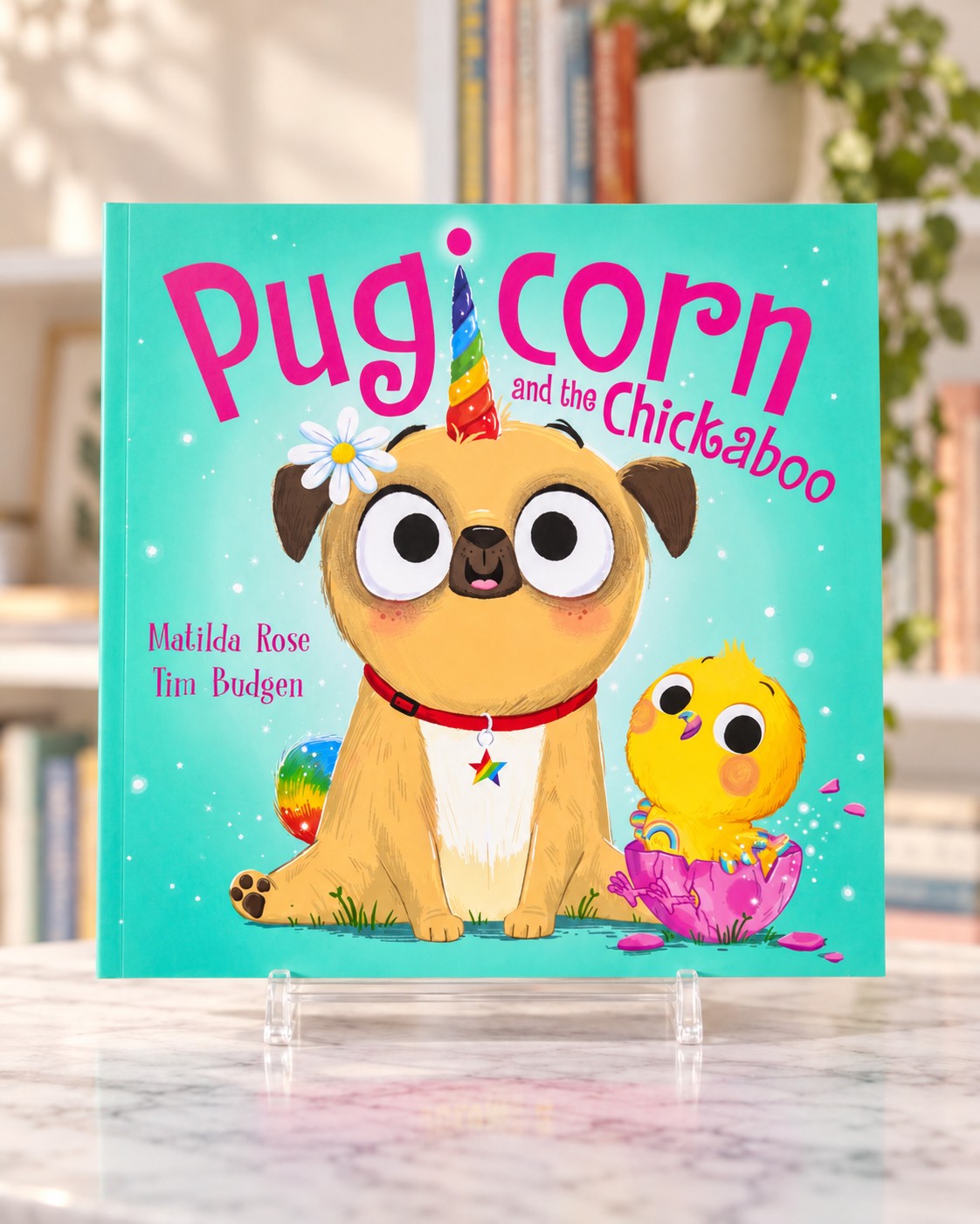 Pugicorn and the Chickaboo, front cover