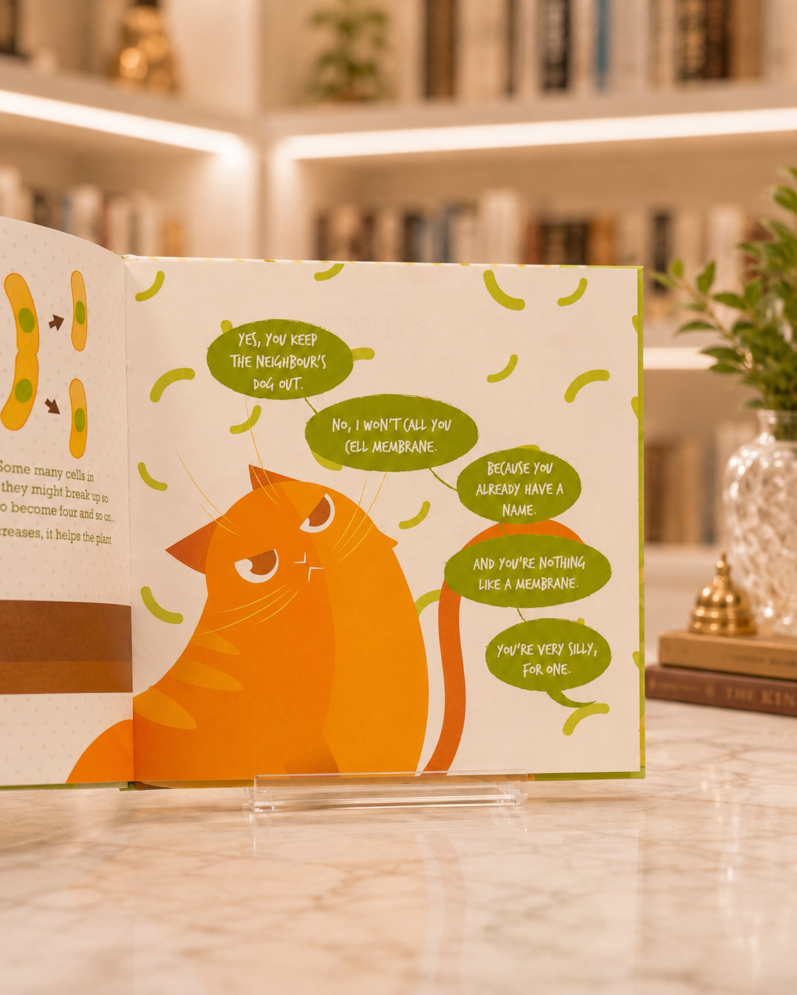 Cell Theory for Smartypants – inside pages