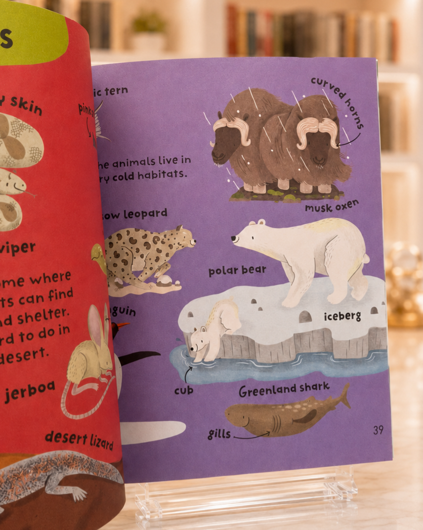 Little Experts: Animal Words – inside pages
