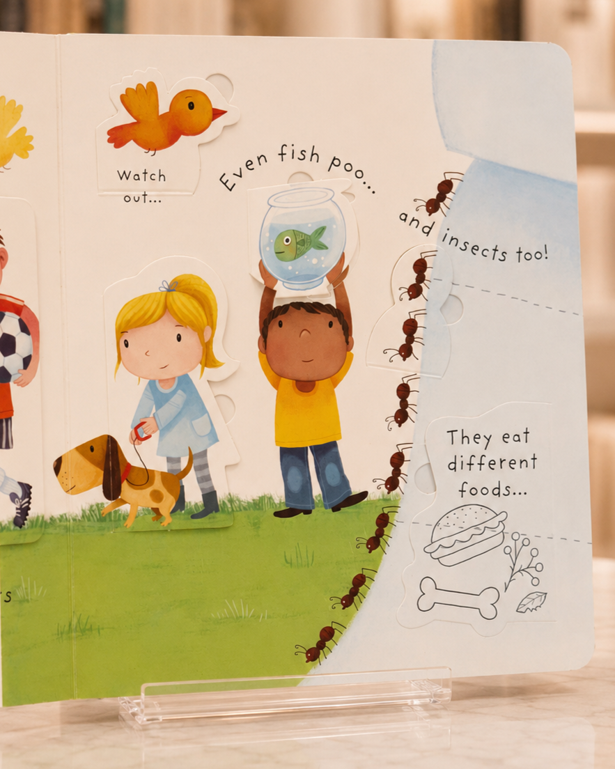 Lift-the-Flap Very First Questions and Answers: What is Poo? – inside pages