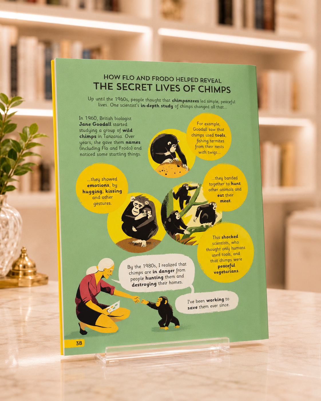 The Amazing Discoveries of 100 Brilliant Scientists – inside pages