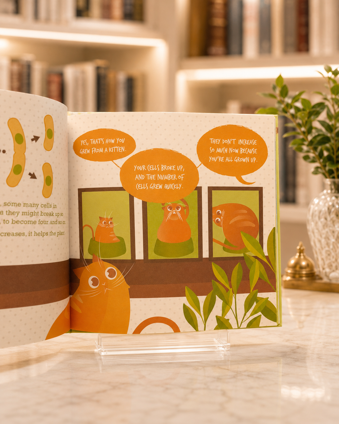 Cell Theory for Smartypants – inside pages