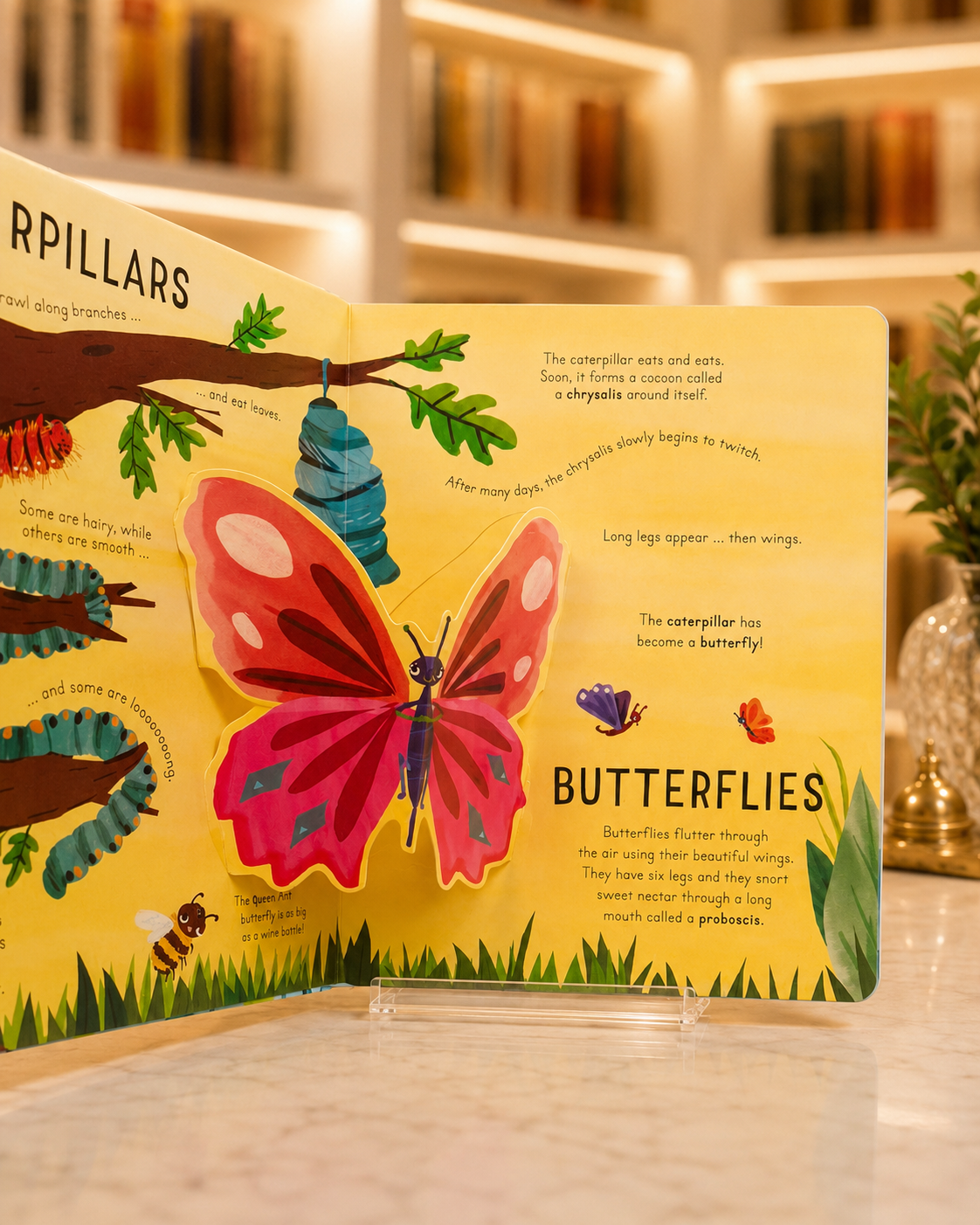 Curious Kids: Bugs and Minibeasts – inside pages
