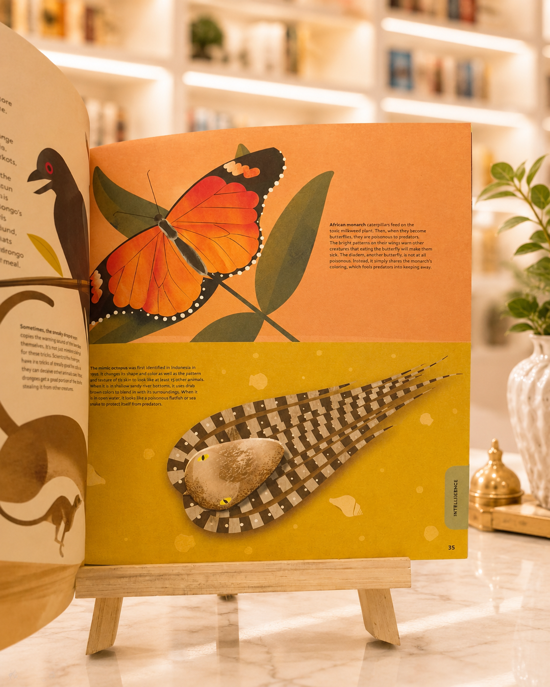 Humanimal – inside pages