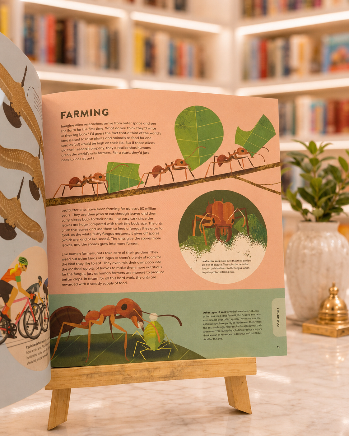 Humanimal – inside pages