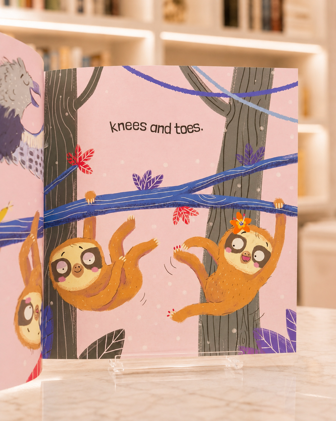 Heads, Shoulders, Knees and Toes – inside pages