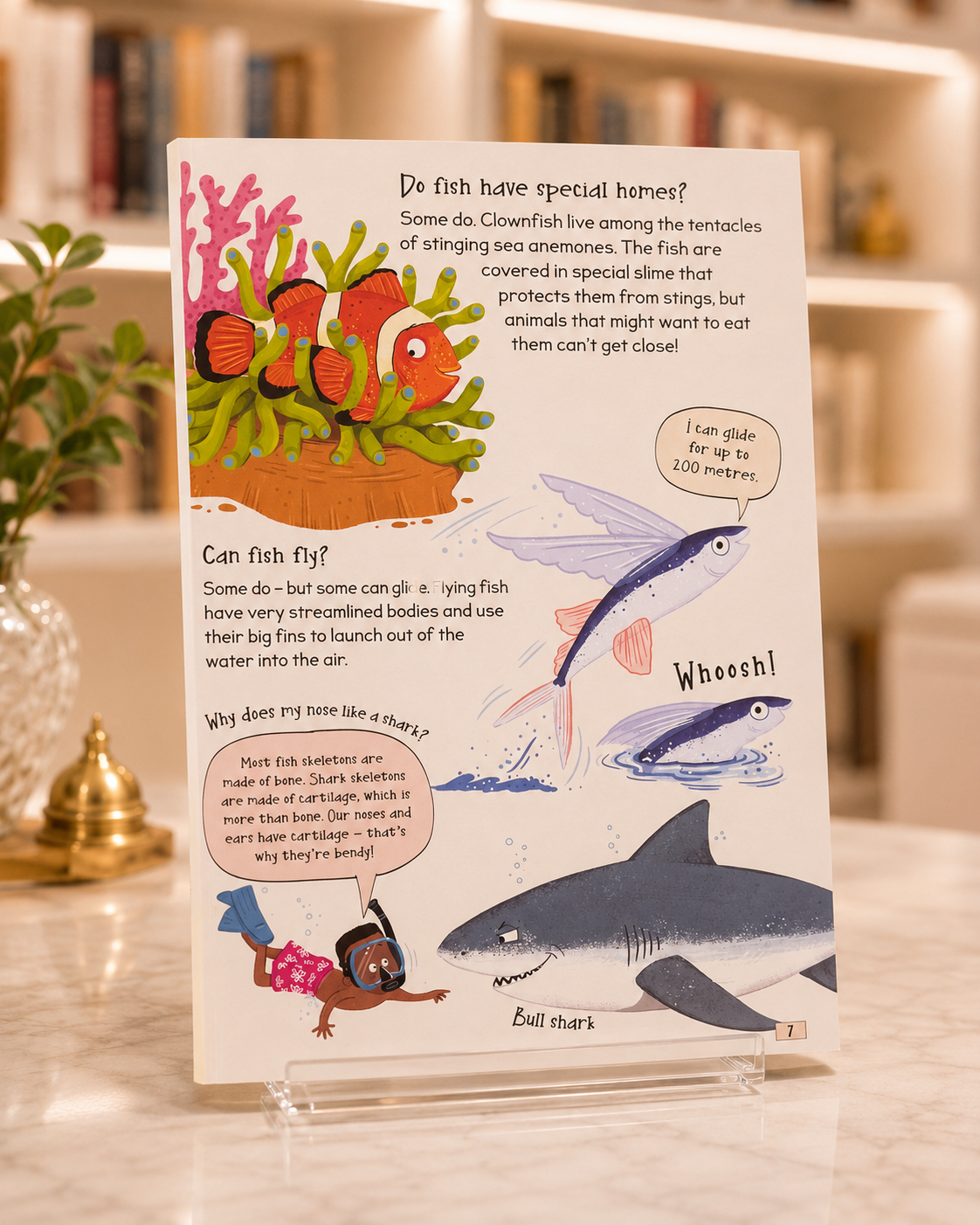 Curious Questions and Answers About... Our Oceans – inside pages