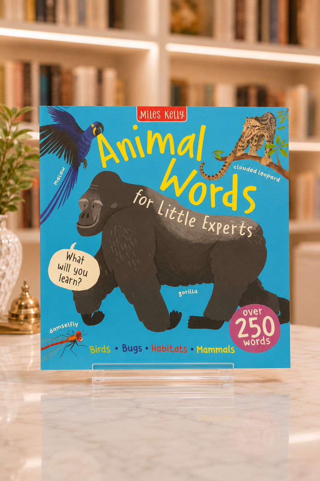 Little Experts: Animal Words – front cover