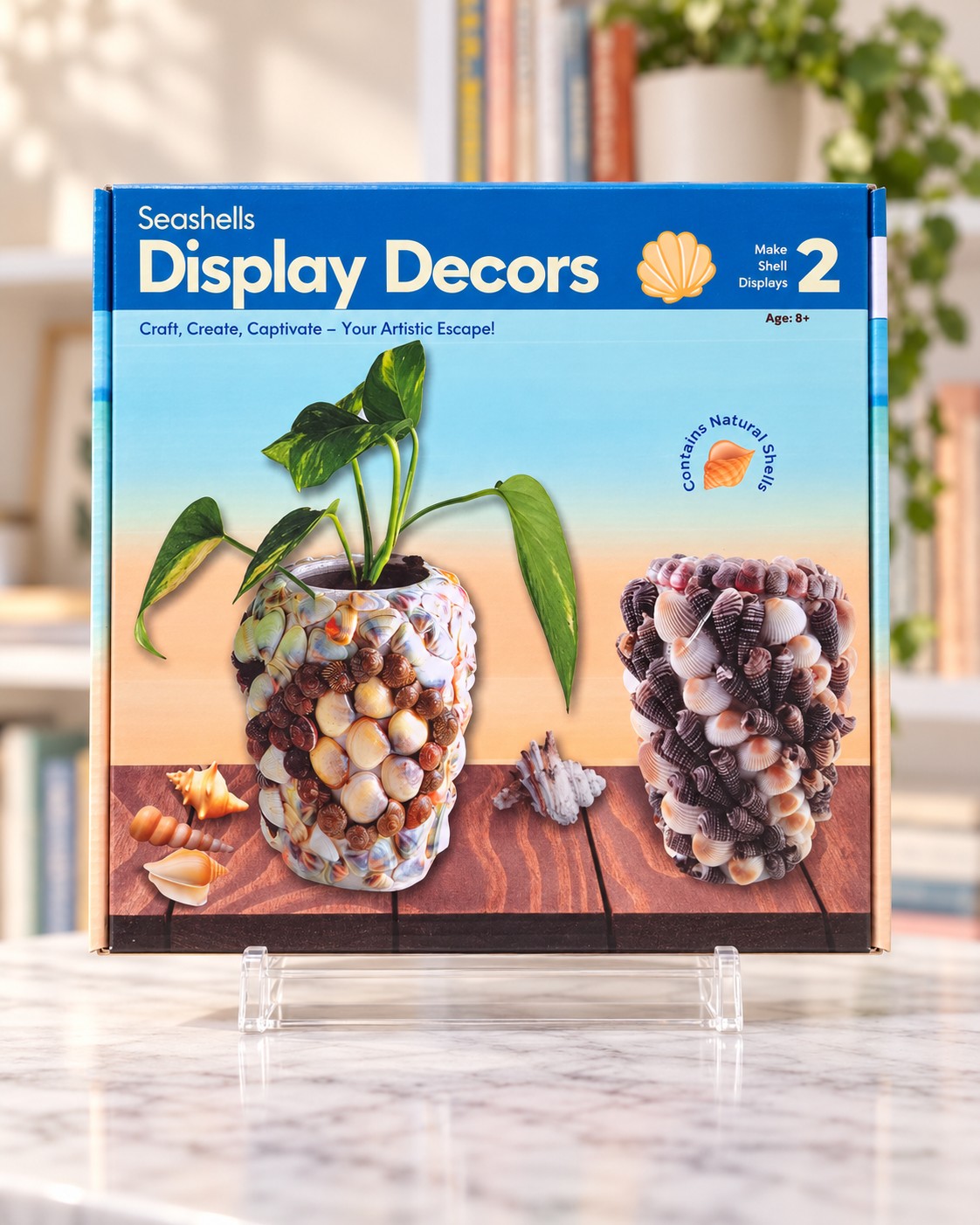 Seashells Display Decors, box front
