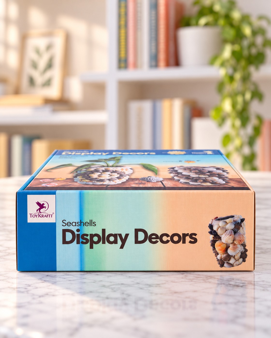 Seashells Display Decors, box side