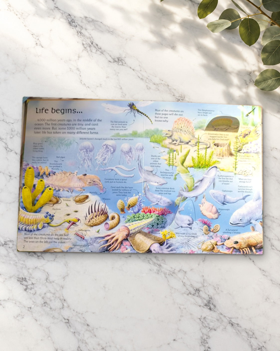See Inside the World of Dinosaurs - 50 Flaps, inside pages 1