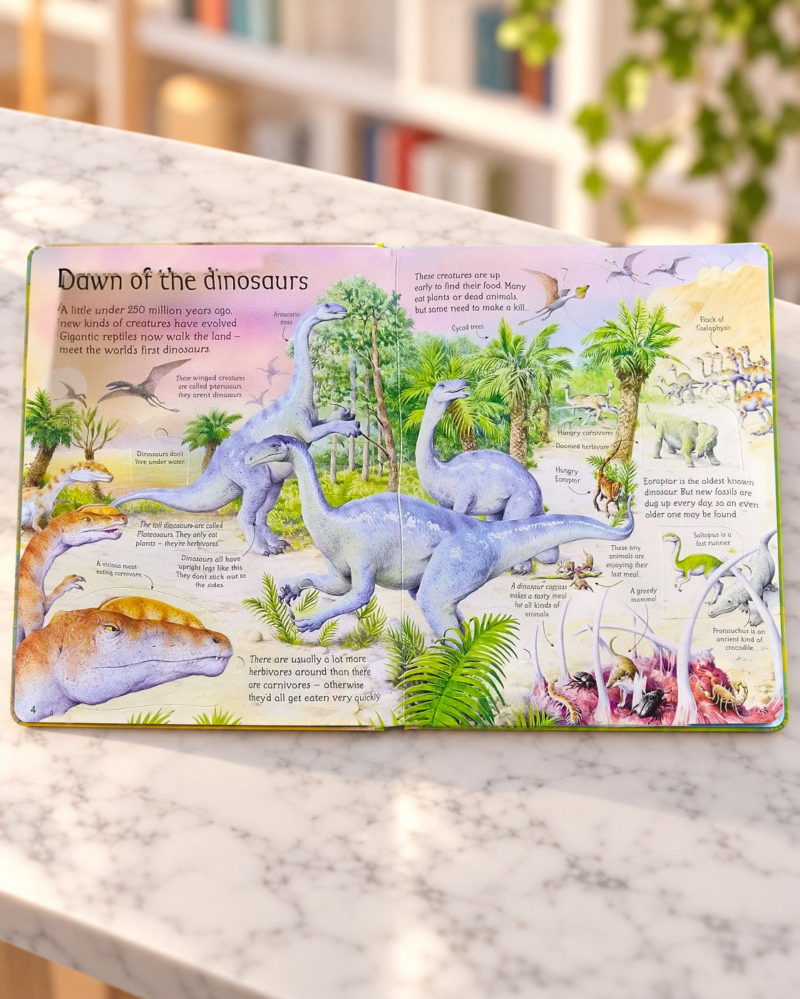 See Inside the World of Dinosaurs - 50 Flaps, inside pages 2
