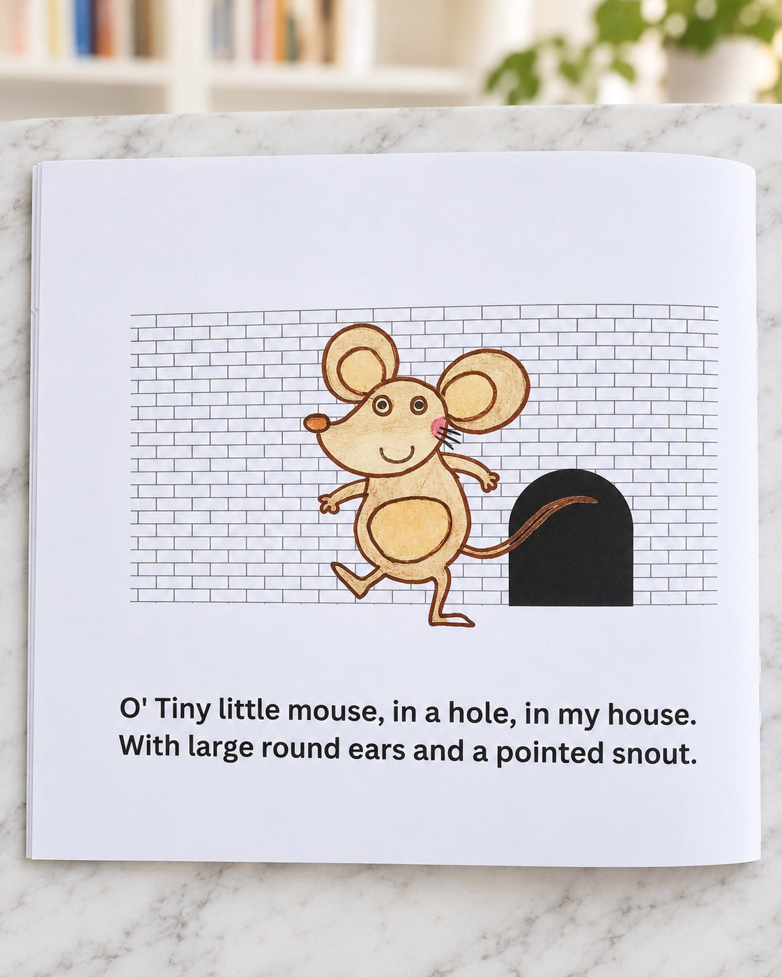 Snail, Snail Where do you Go?, inside pages