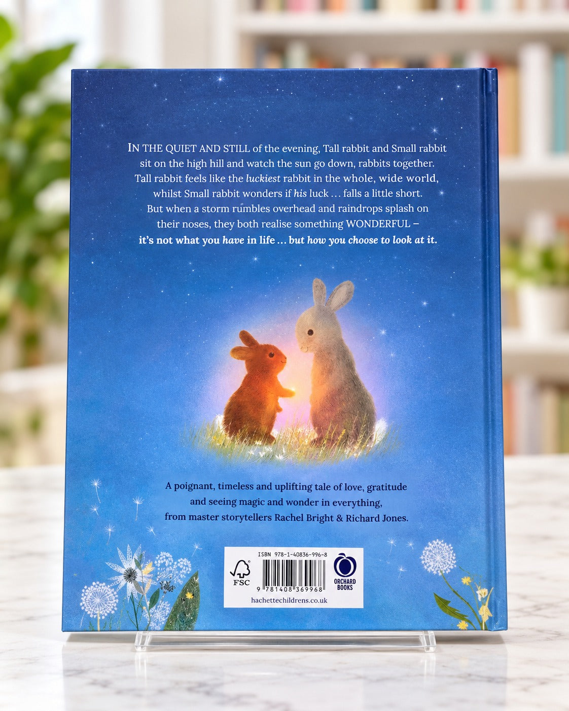 Sometimes it Rains, back cover
