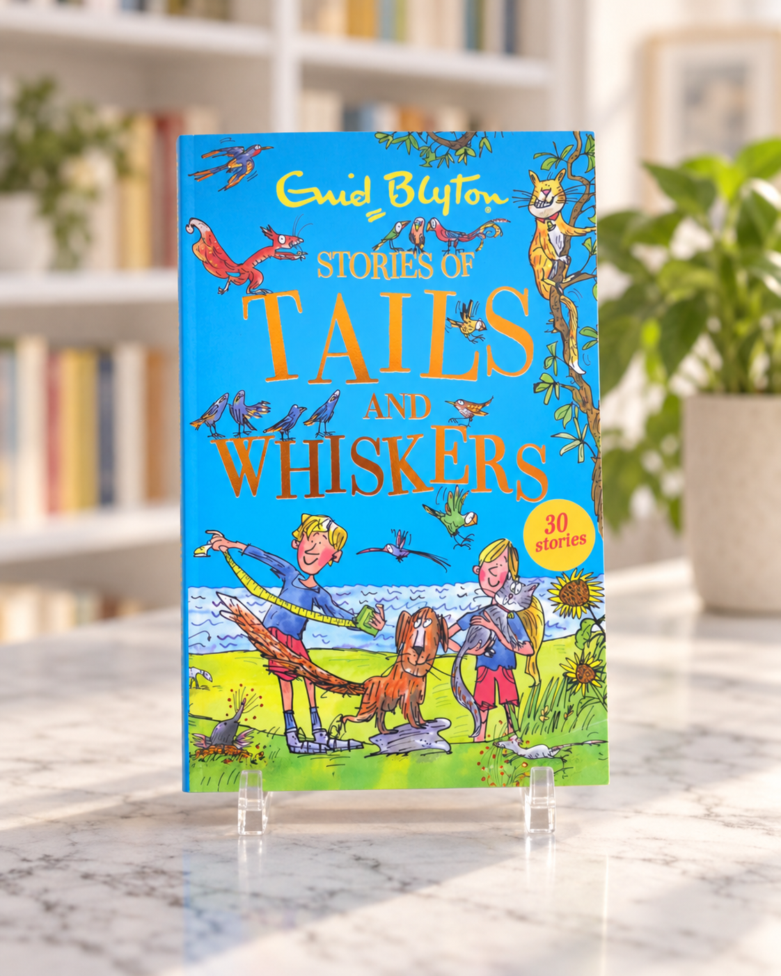 Stories of Tails and Whiskers by Enid Blyton, paperback front cover