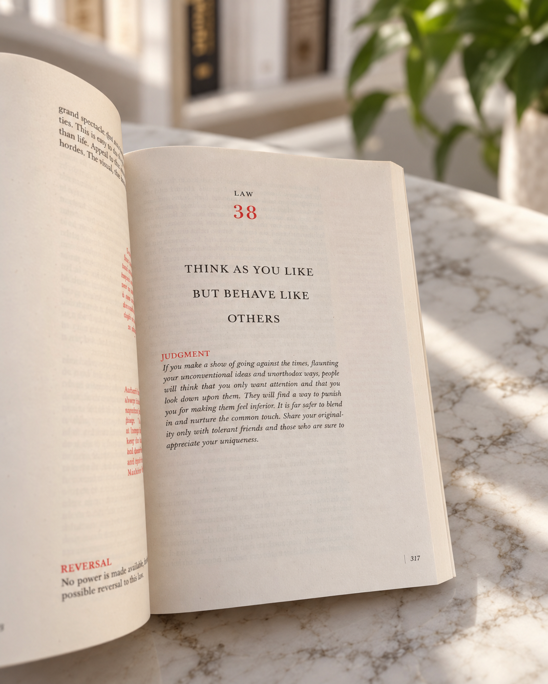 The 48 Laws of Power, open book showing the Law 38 chapter opener