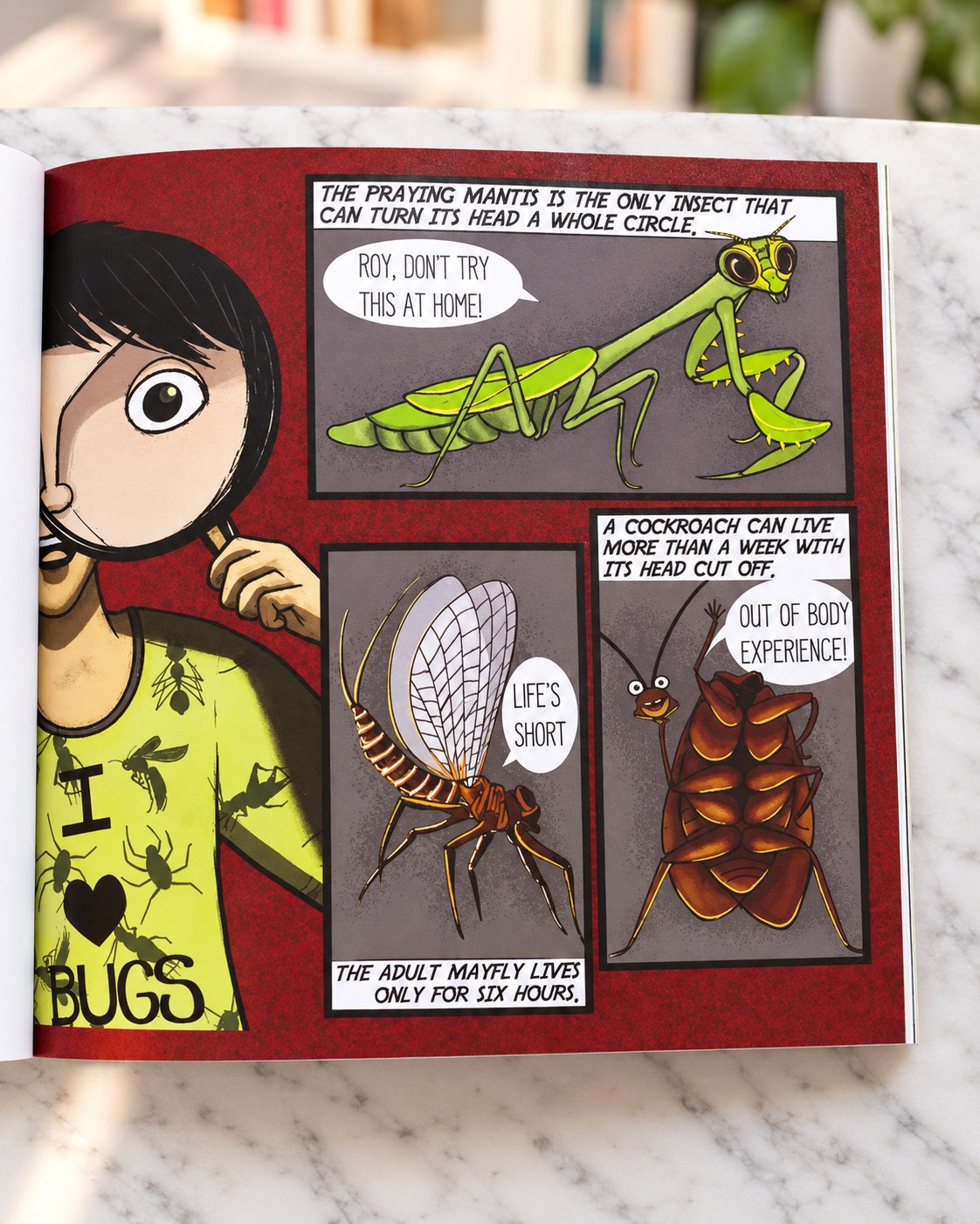 The Insect Boy, inside pages