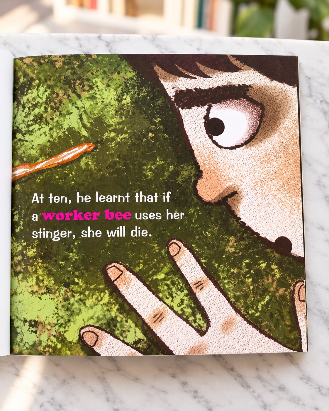 The Insect Boy, inside pages