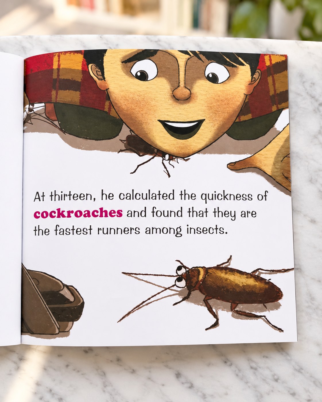 The Insect Boy, inside pages