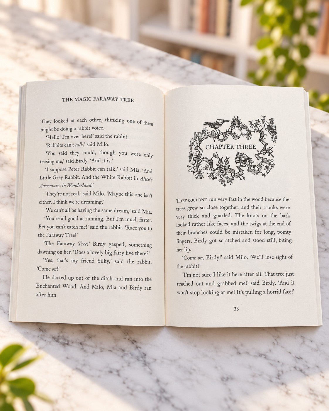The Magic Faraway Tree - A New Adventure, inside pages 1