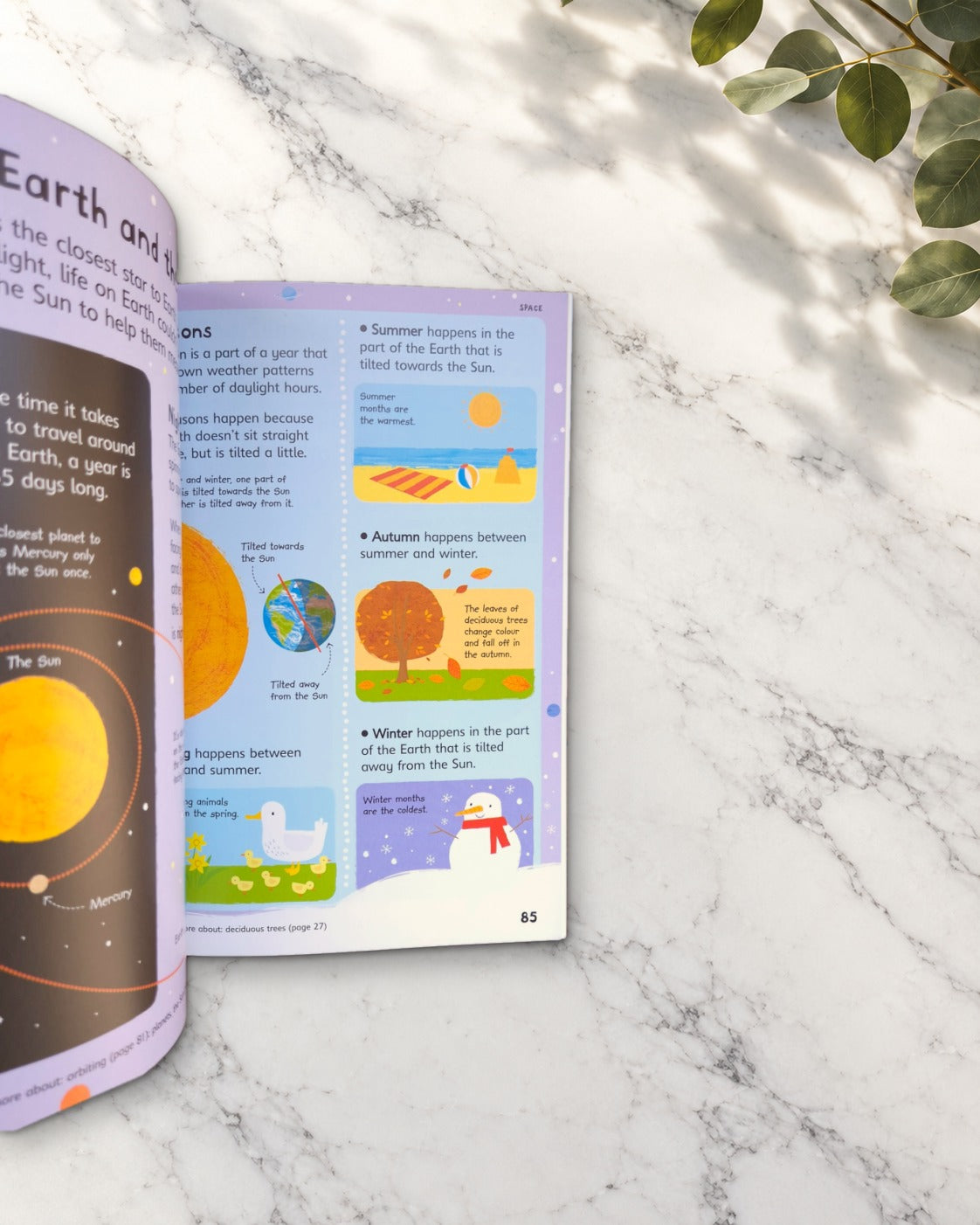 First Illustrated Science Dictionary, inside pages: Earth and the Sun