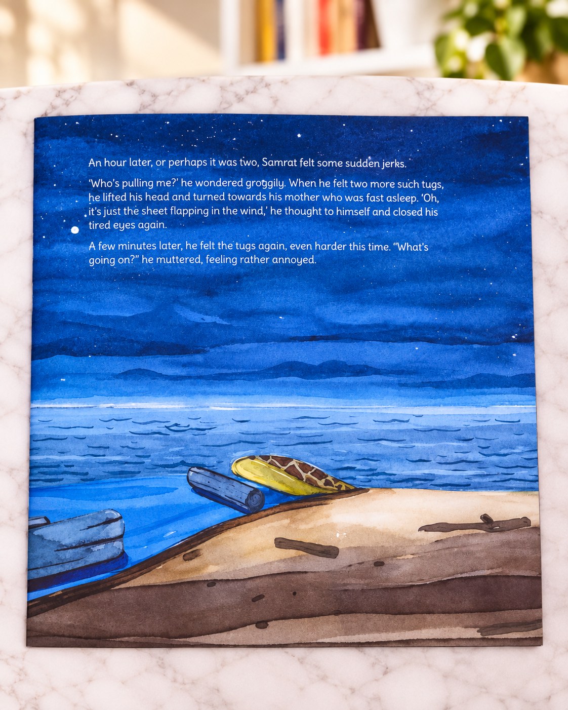 Waiting for Turtles, inside pages