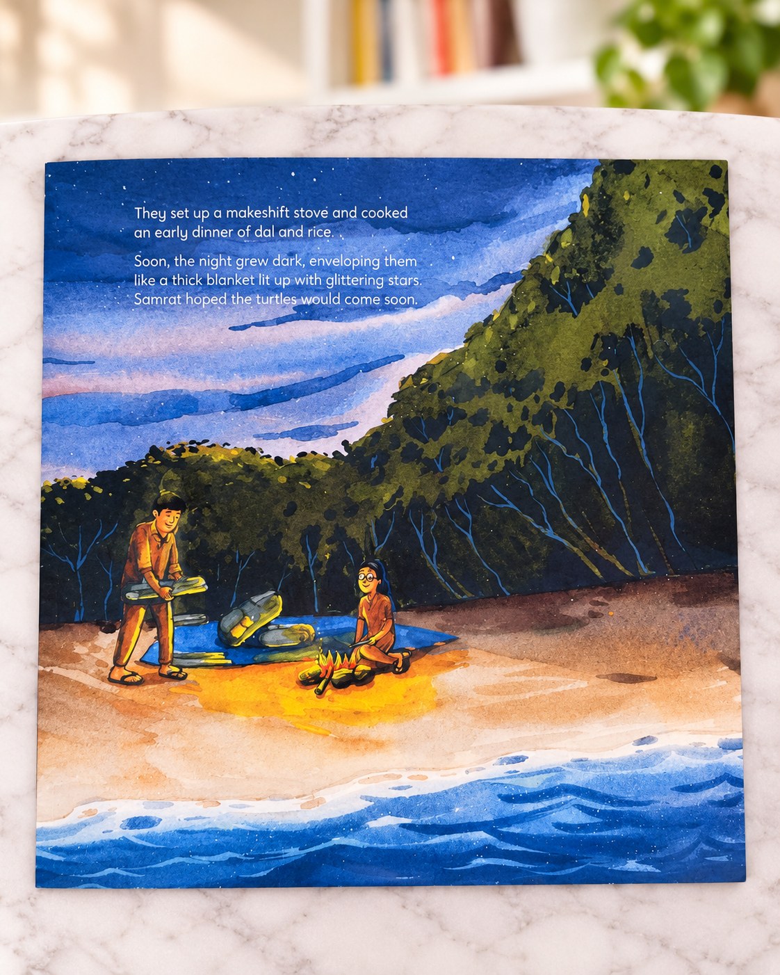 Waiting for Turtles, inside pages