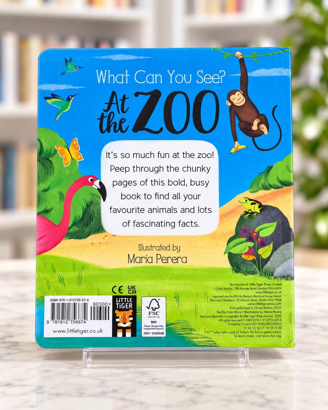 What Can You See? At the Zoo, back cover