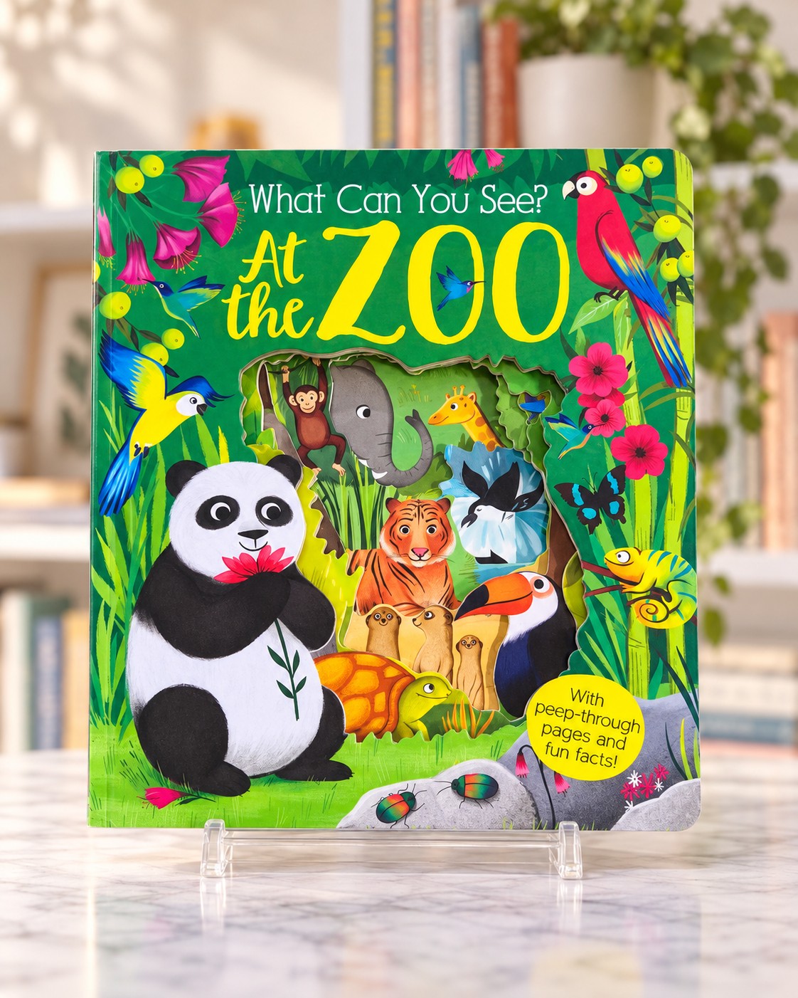 What Can You See? At the Zoo, front cover