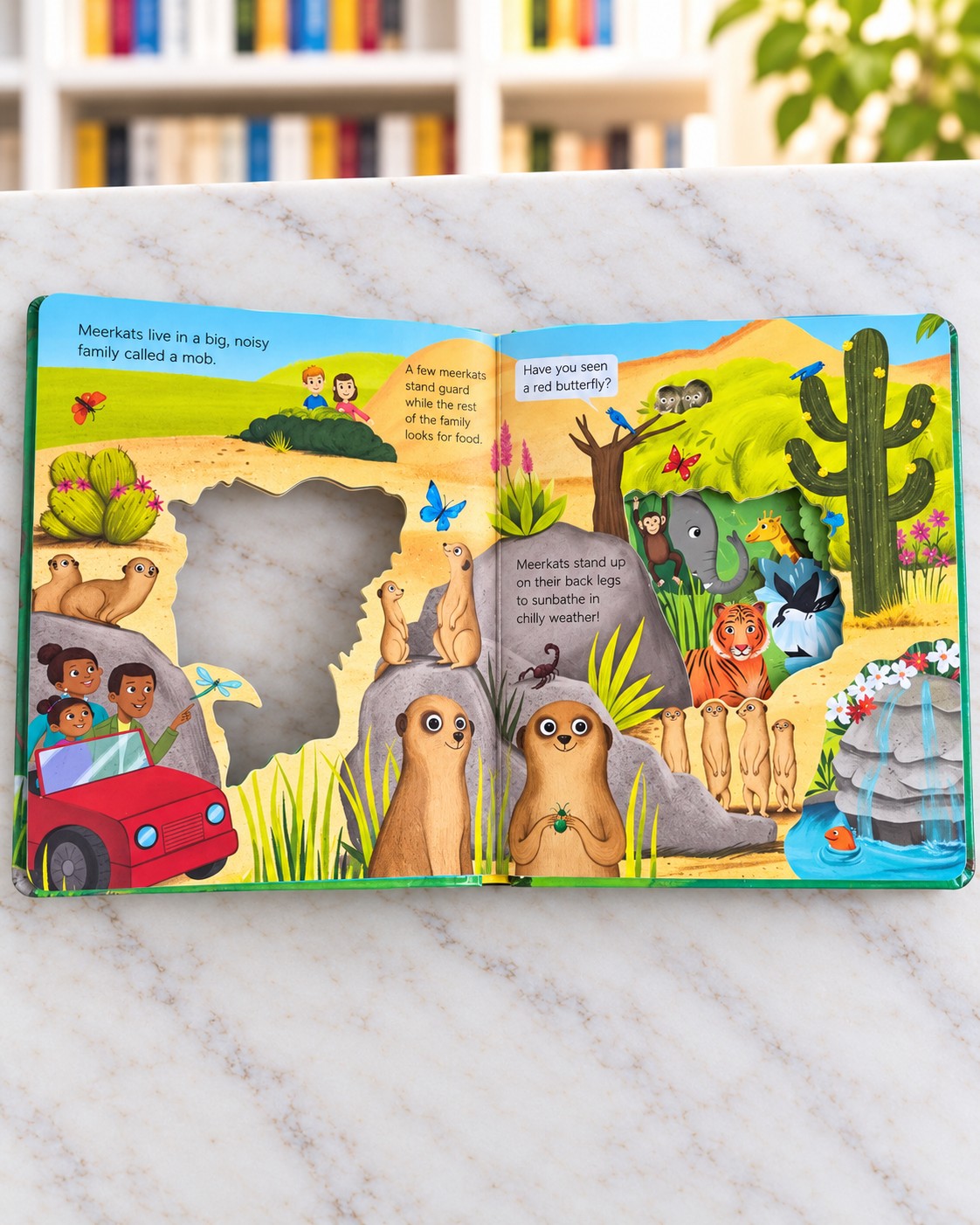 What Can You See? At the Zoo, inside pages 2