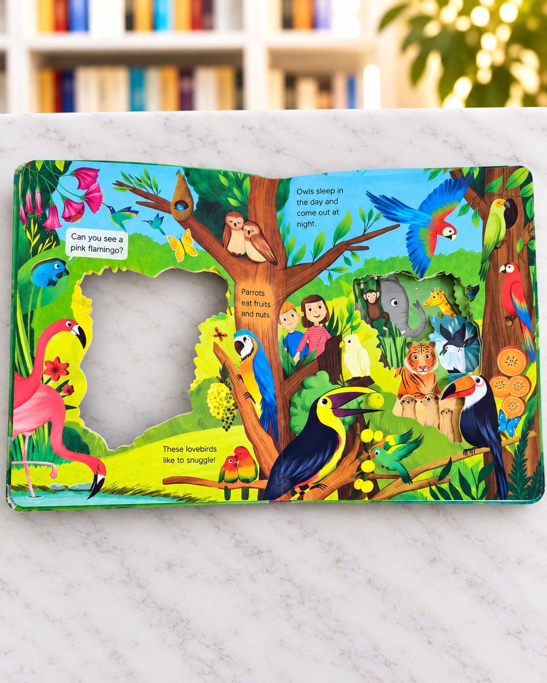What Can You See? At the Zoo, inside pages 1