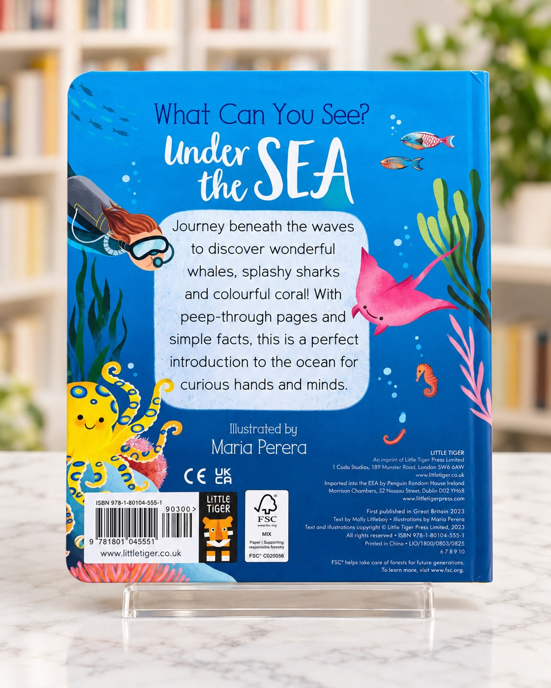 What Can You See? Under the Sea, back cover
