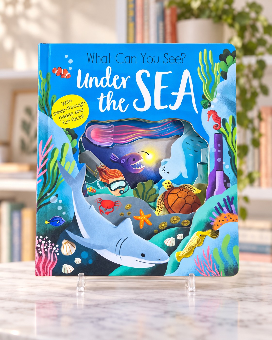 What Can You See? Under the Sea, front cover