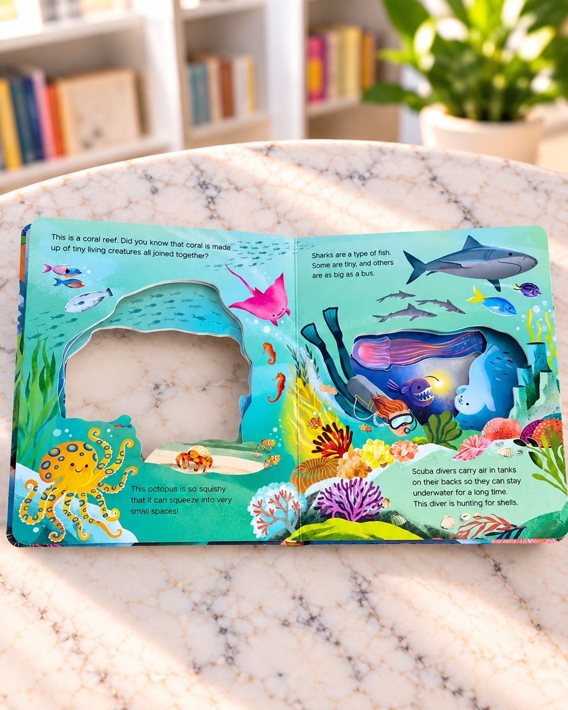 What Can You See? Under the Sea, inside pages 2