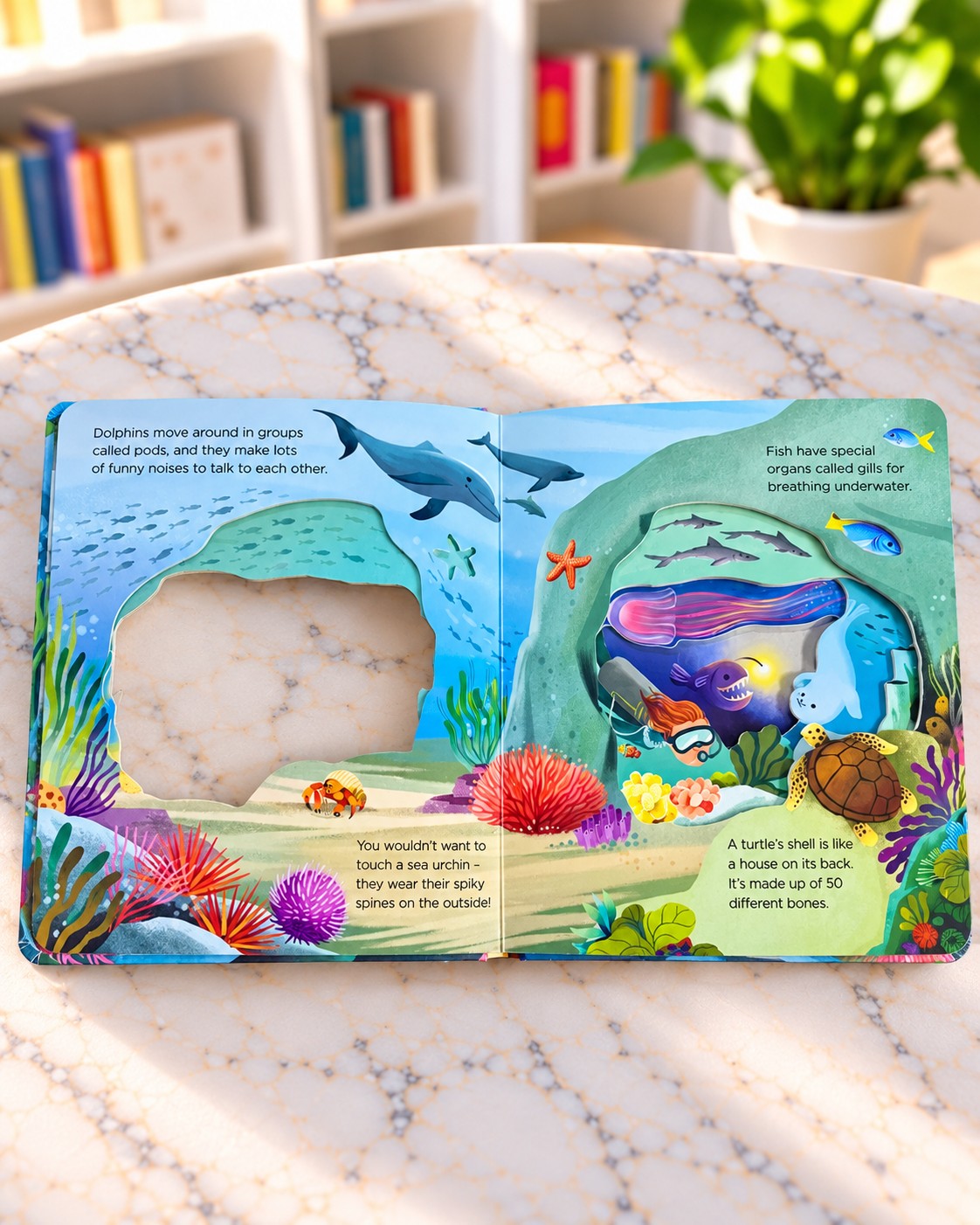What Can You See? Under the Sea, inside pages 1