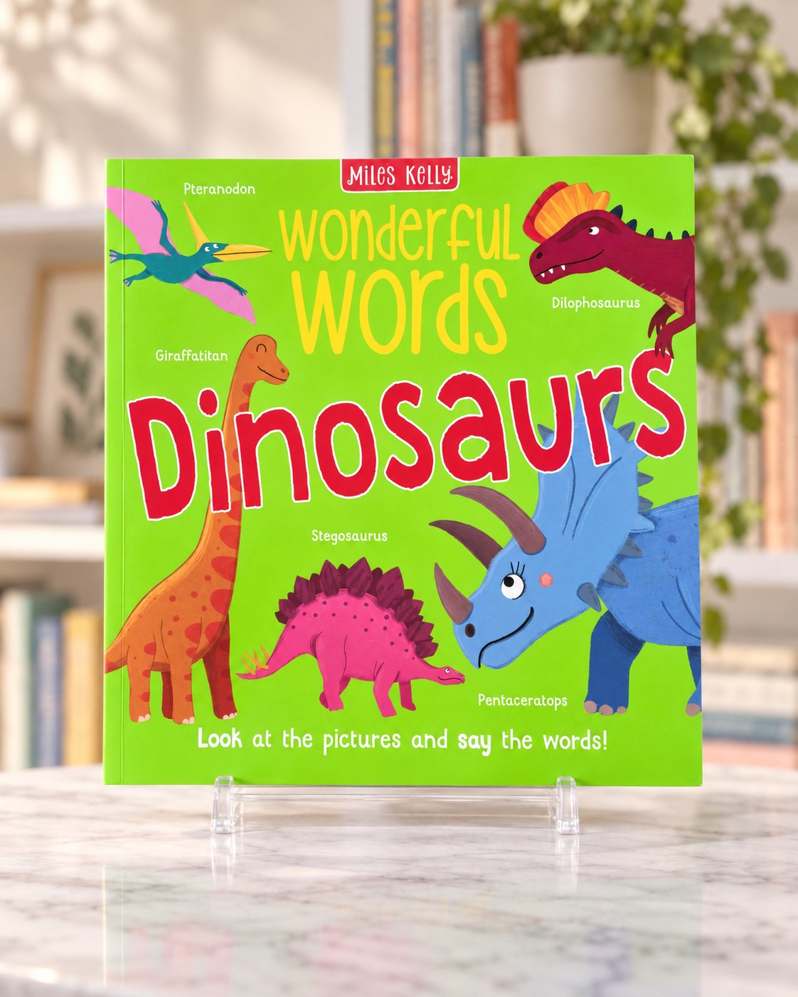 Wonderful Words - Dinosaurs, front cover