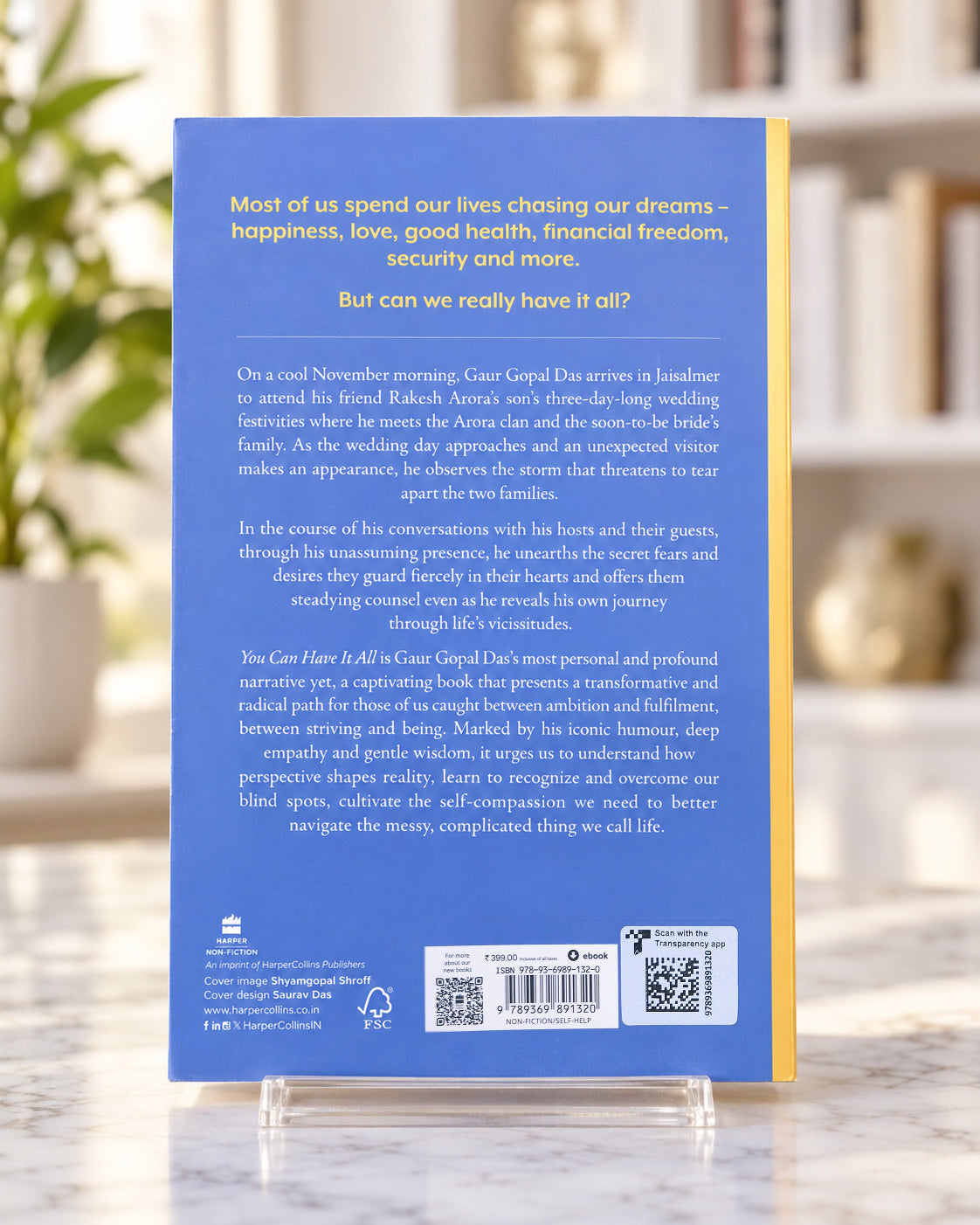 You Can Have It All, back cover with the blurb