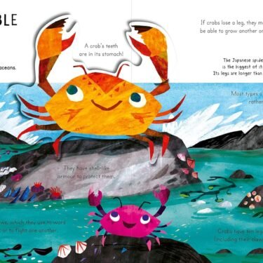 Curious Kids Sea and Shore - Image 2