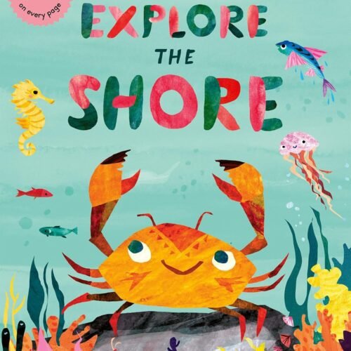 Curious Kids Explore the Shore