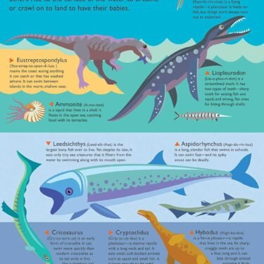 Discovering Dinosaurs - Image 2