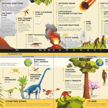 Fold out Timeline Planet Earth - Image 5